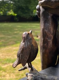 roodborstje in brons - vogel brons